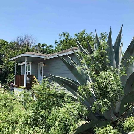Downtown Contemporary Yet Cozy Fun Villa San Antonio Exterior photo